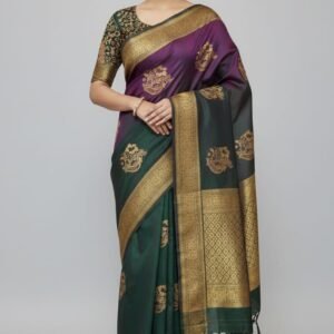 π ombre banarasi silk sareeπ (copy)